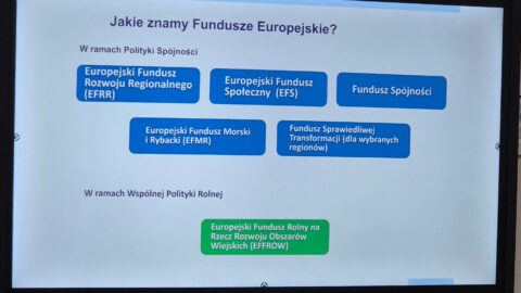 ZESPÓŁ SZKÓŁ PONADPODSTAWOWYCH W ŻABNIE, ZSP Żabno, Technikum w Żabnie, Szkoła Branżowa I stopnia w Żabnie, Zespół Szkół Ponadpodstawowych, szkoła średnia w Żabnie, Żabno