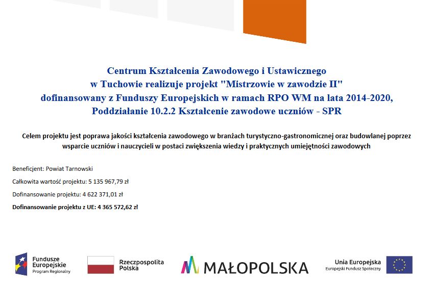 plakat Mistrzowie w Zawodzie
